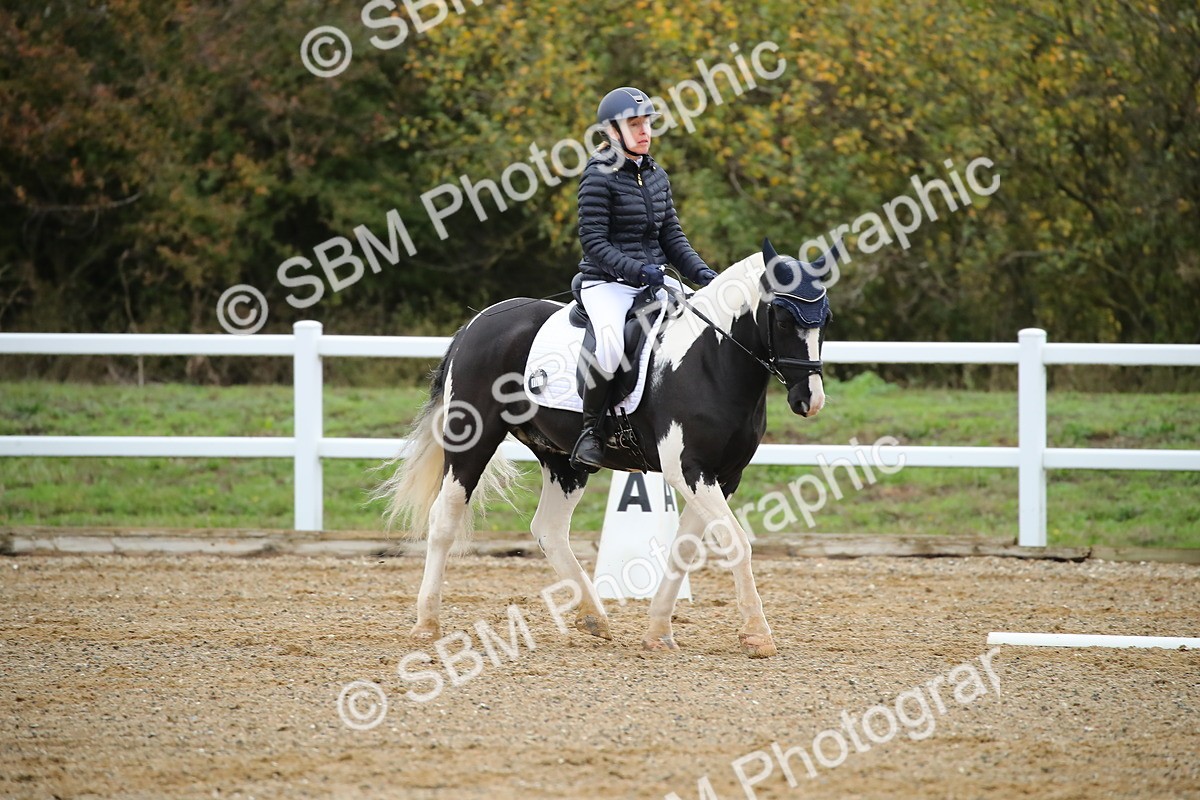 SBM_000373 - Intro 2