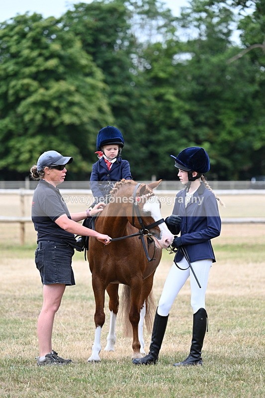 WJ7_9717 - Class 1 Lead Rein Pony