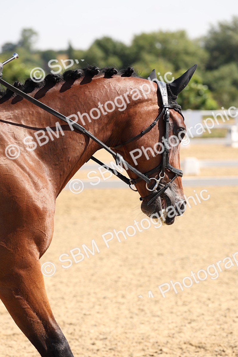 SBM_003426 - Prelim 4 - Warm Up
