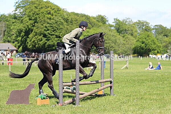 IMG_4123 - Working Hunter