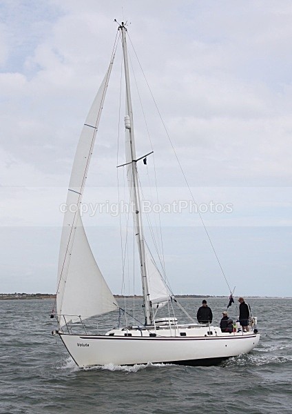 090618 VOLUTA IMG_3408 - Sailboats - monohull