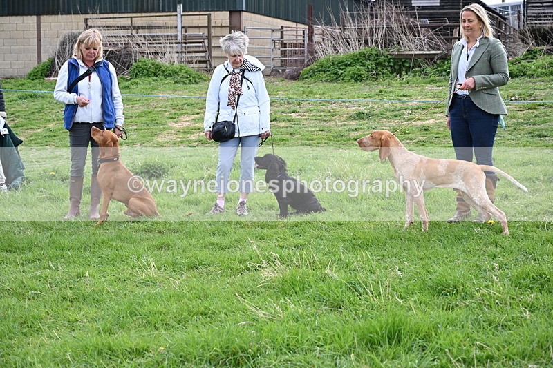 WJ6_8053 - Class 2 Best Pedigree