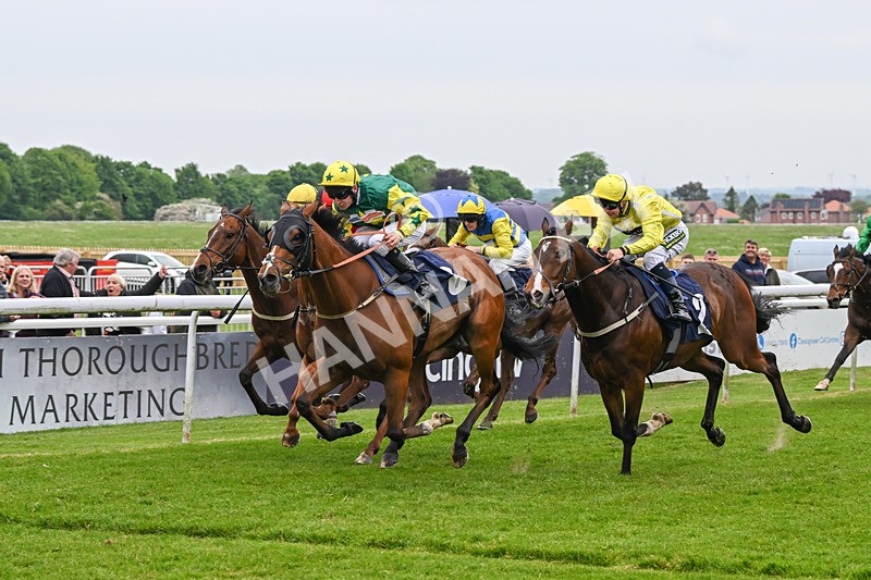 140524-Race 5-Coolree-2450 - Race 5