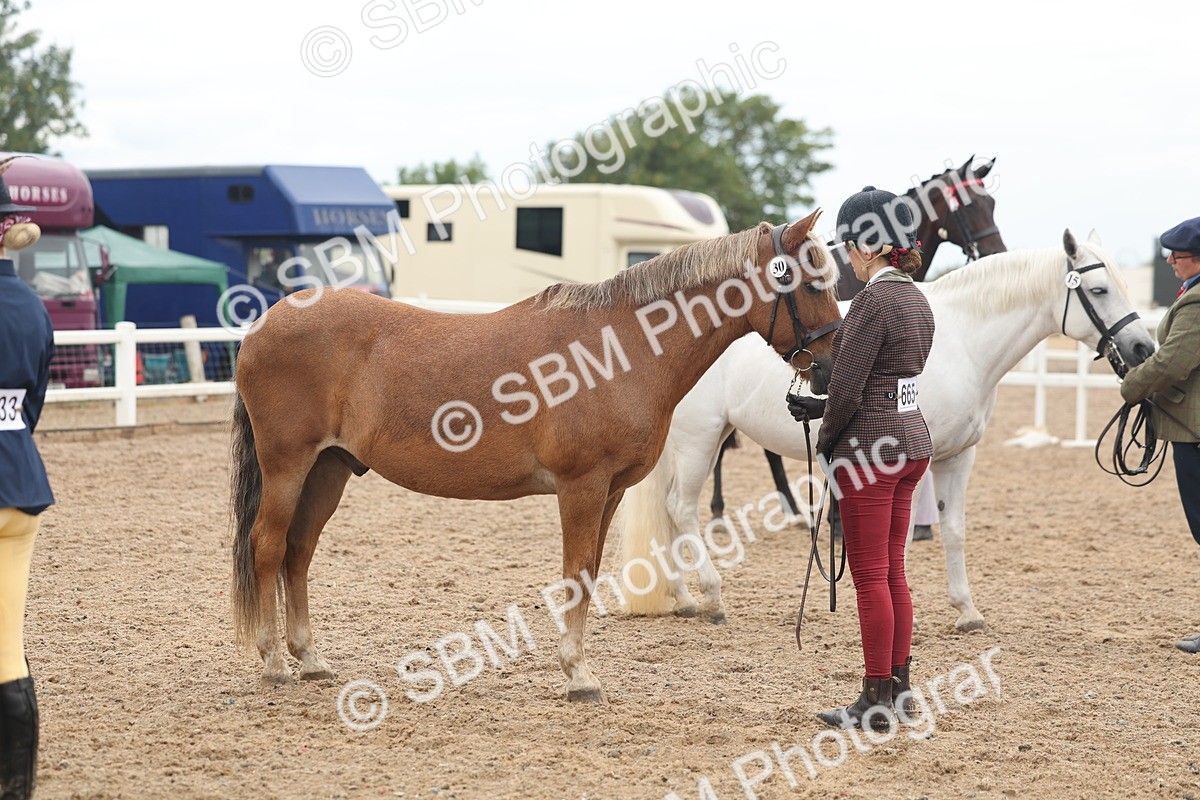 SBM_07801 - Class 27 - IH Competition Horse/Pony