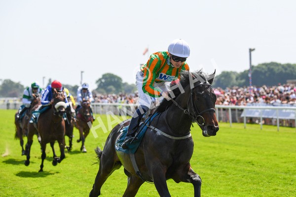 270523-Race 2-Native American-0320 - Race 2 2.10pm Collective Green Energy EBF Restricted Novice Stakes