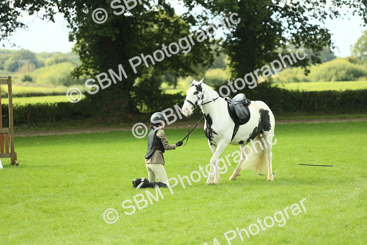 SBM_44706 - S31 - Working Hunter Pony