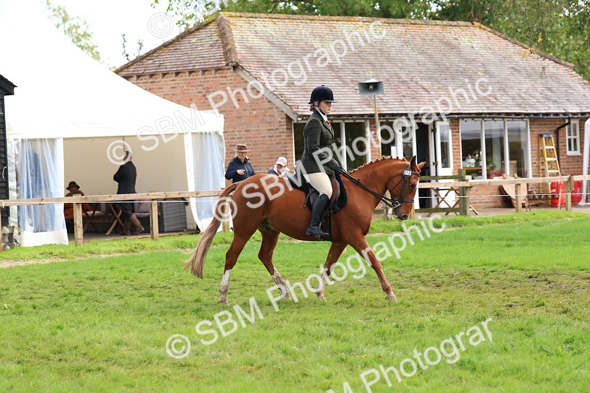 SBM_45199 - S27 - Young Veteran Ridden