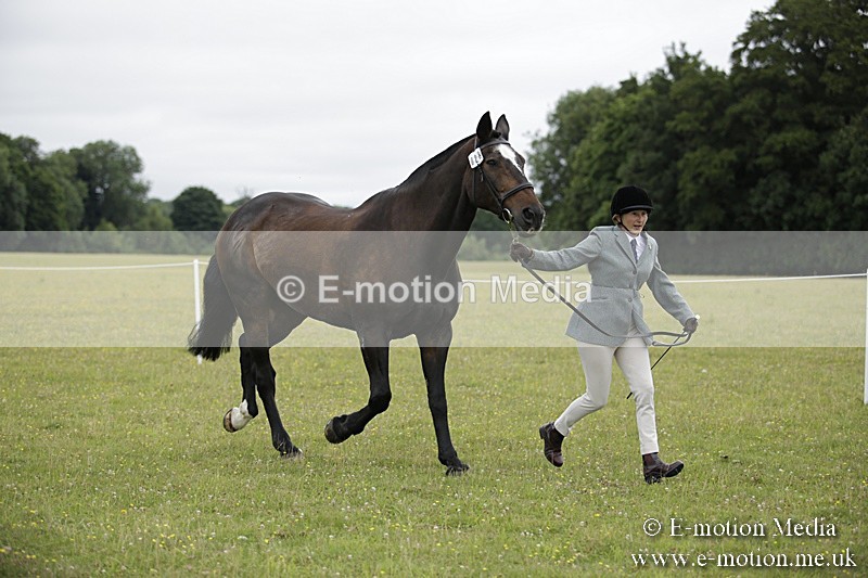 BVR160717-724 - Ring 2 BVRC Show 16/07/17