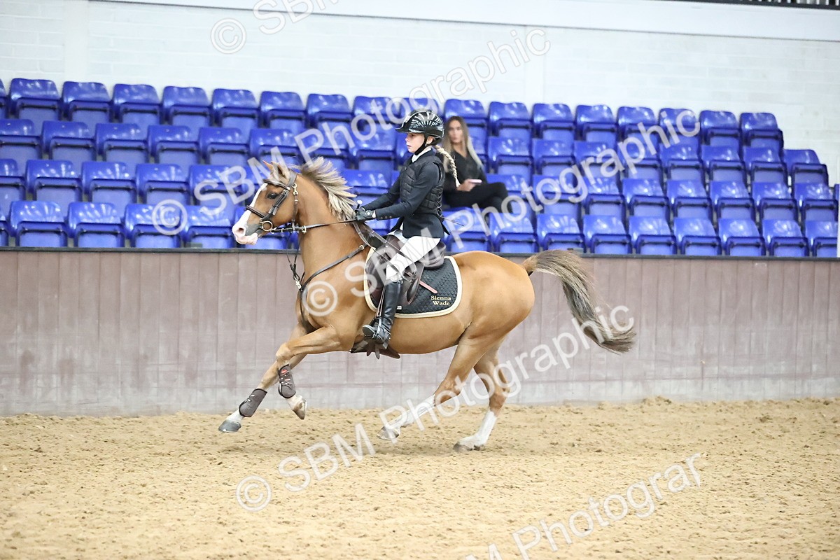SBM_000697 - Class 2 - STX UK Pony British Novice 80cm Open