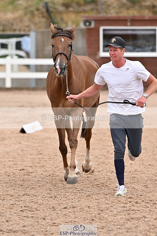 250716-143258-01195 - Trot Up 2.30 to 3.30