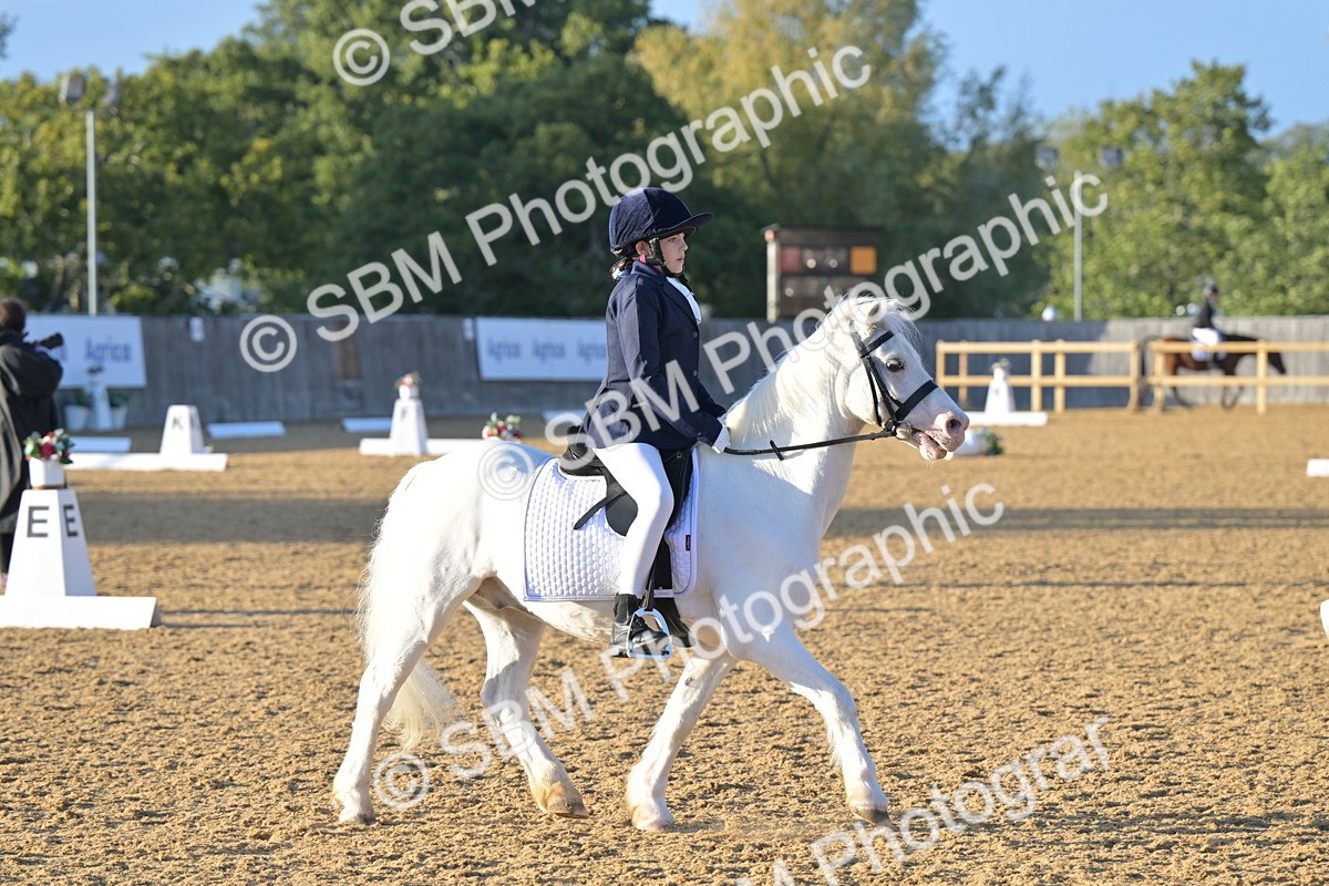SBM_13251 - D3 - Small Tour Championship Intro 3