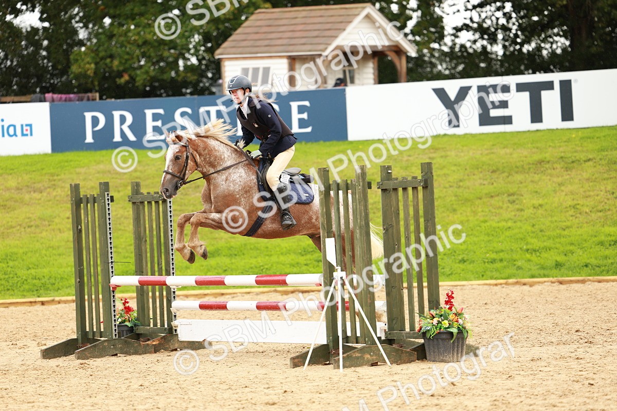 SBM_38436 - Supreme Championship 80cm 85cm