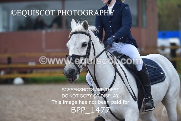 BPP_1477 - CLASS 6 Stepping Stones 128/ 138cms Handicap