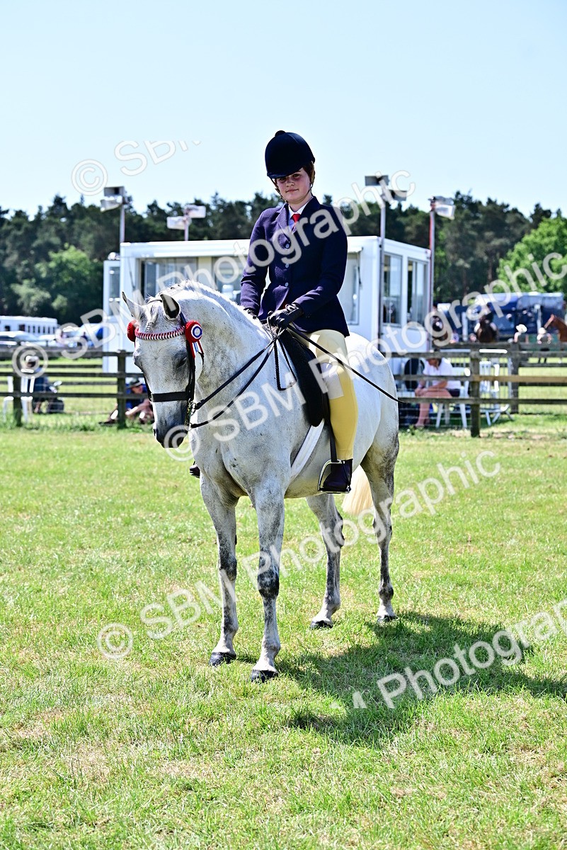 SBM_15318 - Class 95-97 - BSPS LHS Performance Ponies