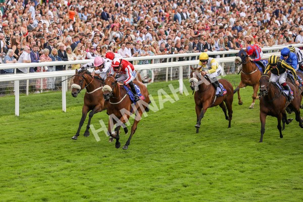 270724-Race 1-Night On Earth-4606 - Race 1 2.05pm Sky Bet 'Jump Jockeys' Nunthorpe' Handicap