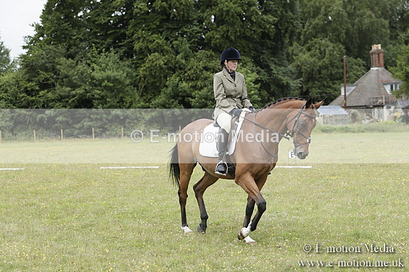 BVR160717-1241 - Class 2 Dressage 16/07/17