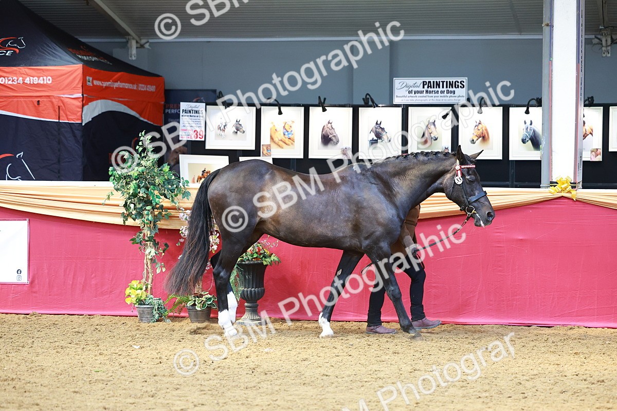 SBM_02234