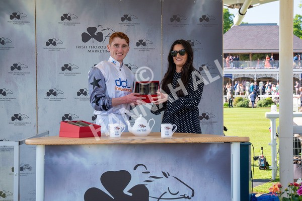 160525-Race 5-The Man-6591 - Race 5 4.15pm Irish Thoroughbred Marketing Handicap