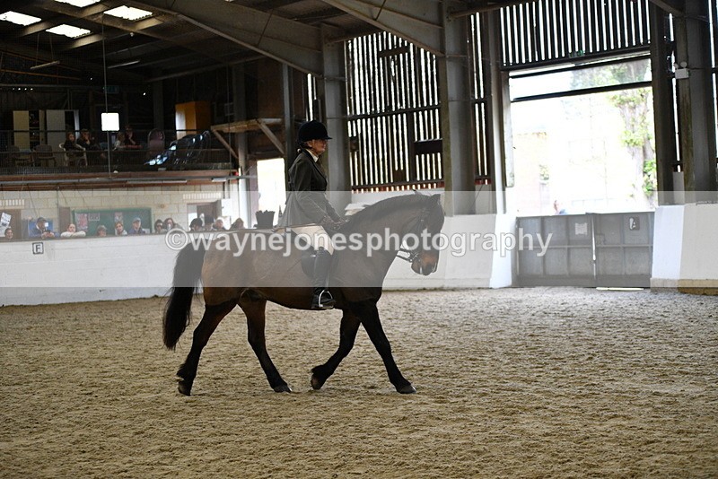 WJ5_6162 - Class 9 Ridden Veteran