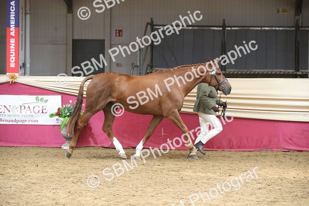 SBM_05492 - Class 9R - Regional IH Pre-Vet