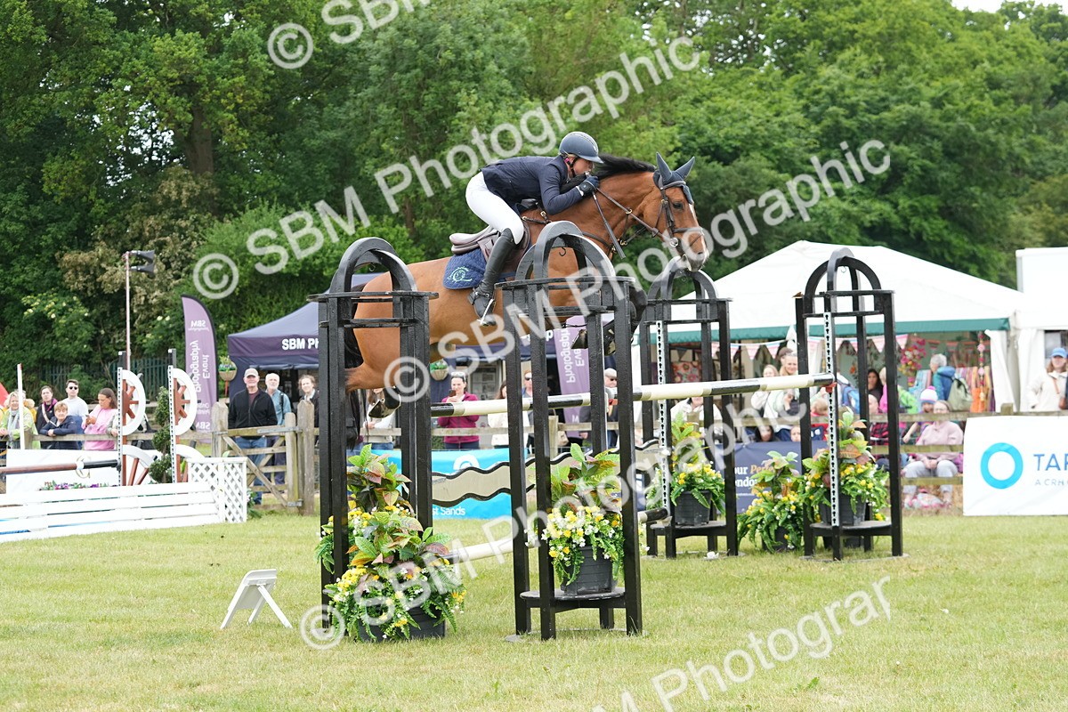 SBM_05177 - Class 201 - British Horse Feeds Speedi Beet Horse of the Year Show Grade  C