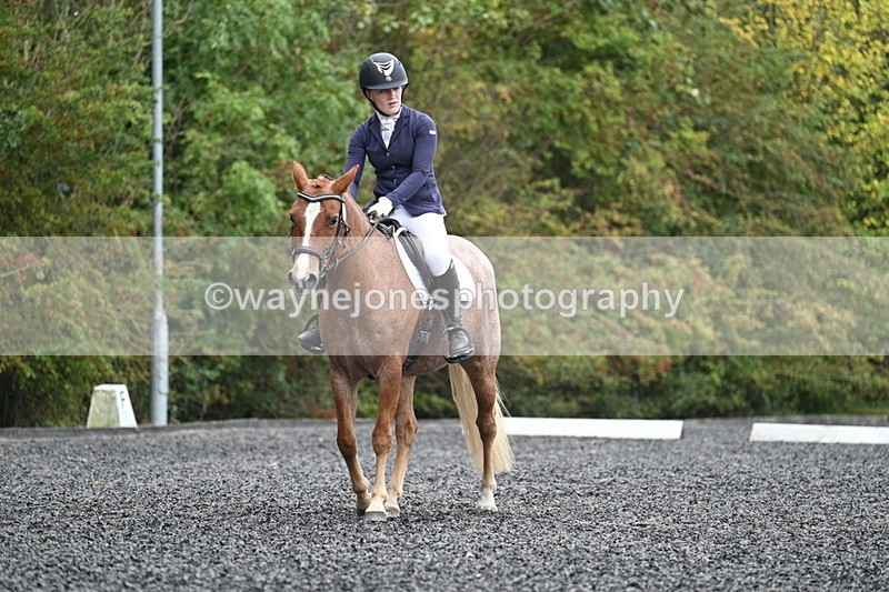 WJ7_3774 - Time 11:04 to 11:38