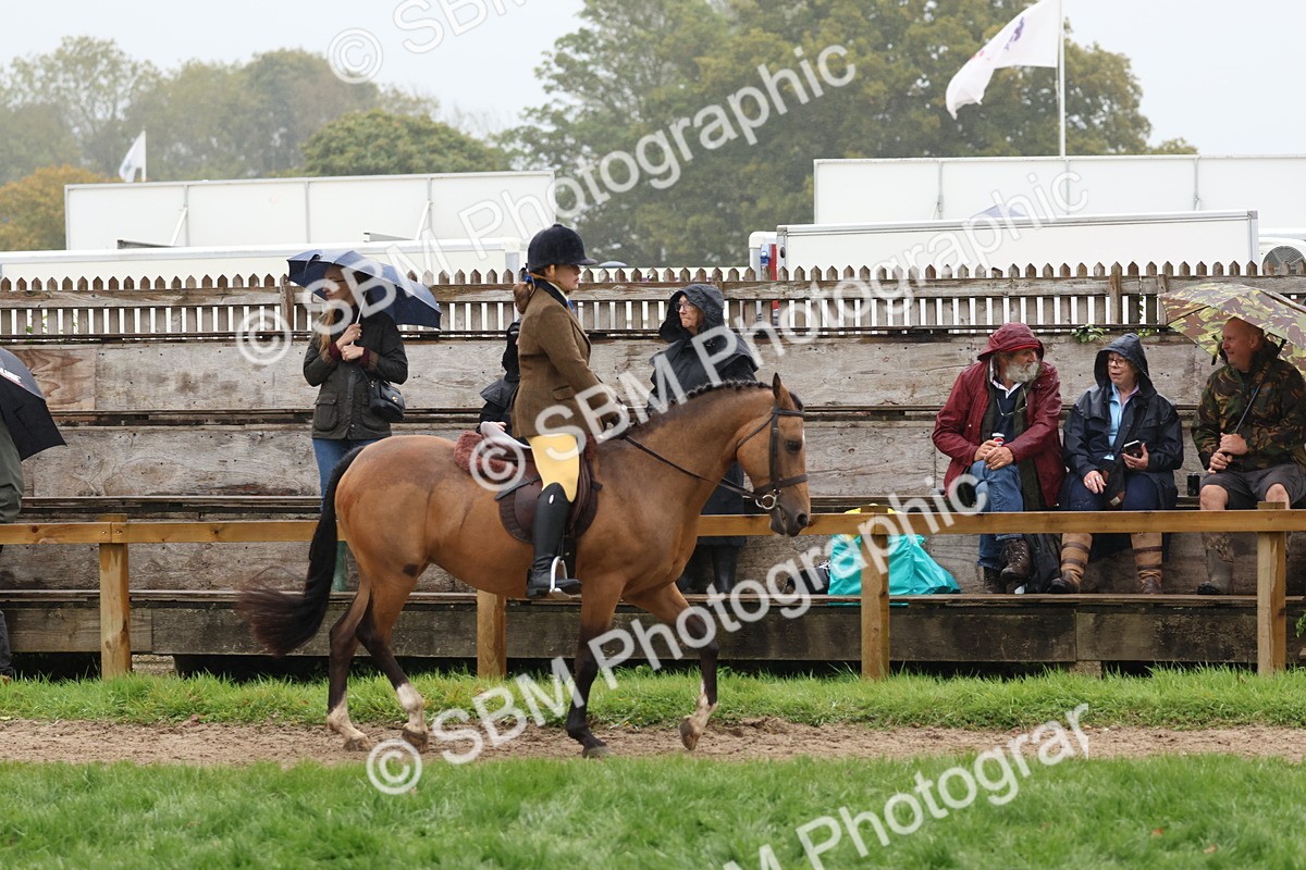 SBM_72997 - S63 Show Pony & Show Hunter Pony Ridden