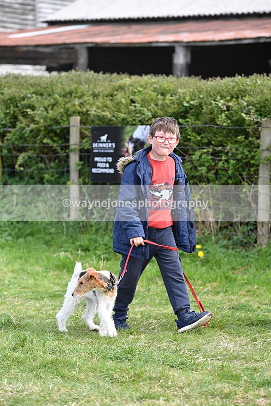 WJ5_0761 - Best in Show Championship