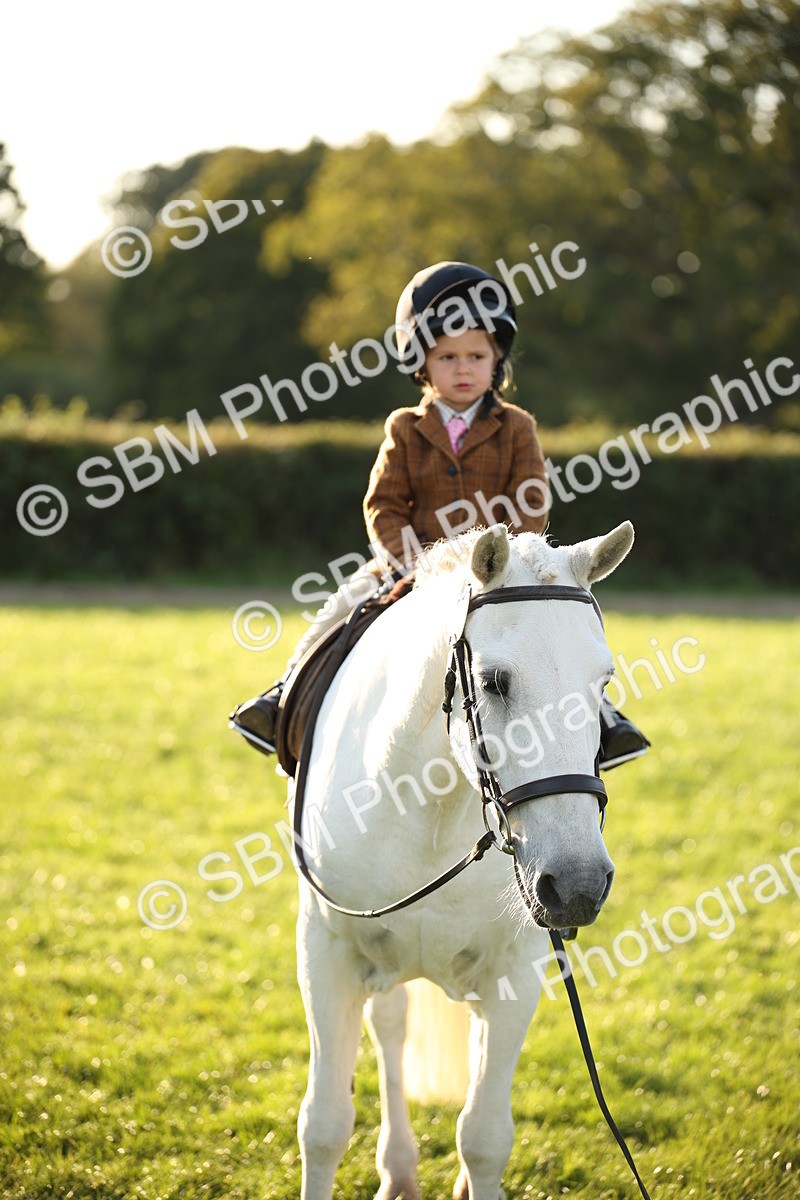 SBM_54482 - S27 - Mature Veteran - Ridden