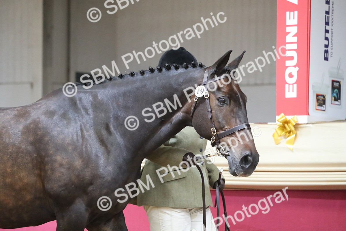 SBM_06204 - Class 9R Regional- IH Pre Vet