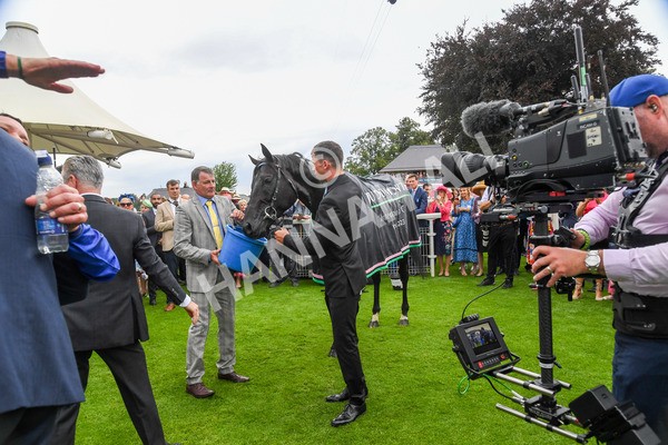 230823-Race 4-Mostahdaf-0494 - Race 4 3.35pm Juddmonte International Stakes