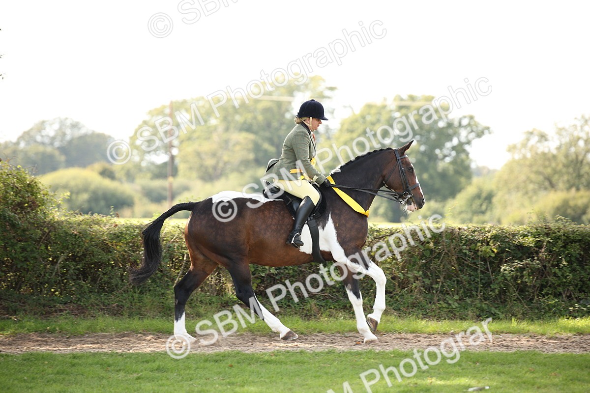 SBM_70159 - S65 - Piebald & Skewbald Horse Ridden