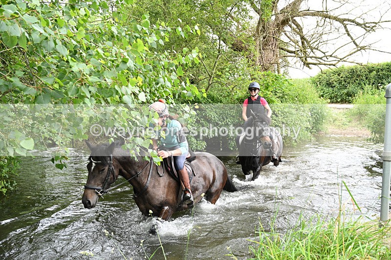WJ7_2327 - Camera 2 Water Crossing