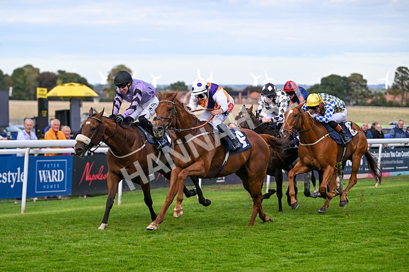 160926-Race 5-Call To Action-1021 - Race 5 4.18pm We Are Christmas Party Central Handicap