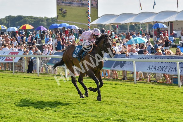 160623-Race 6-Another Investment-6506 - Race 6 4.45pm Irish Thoroughbred Marketing Handicap