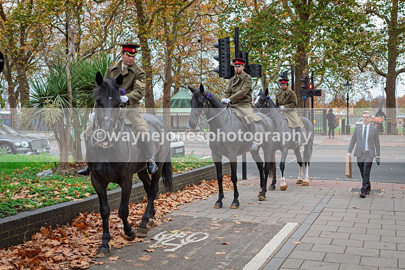 Z62_4440 - Animals In War Memorial 2025 - Park Lane, London
