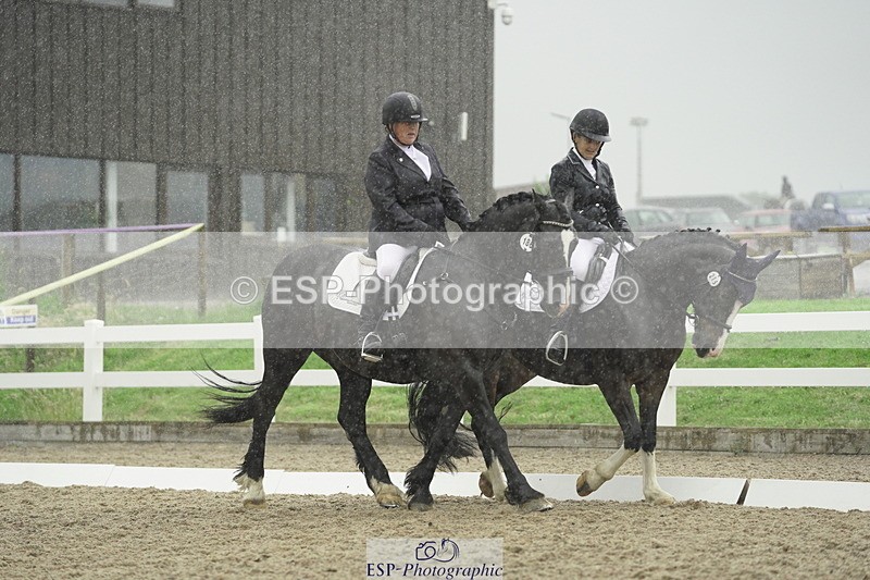 230708A-123252-00433 - BRC Pairs 5