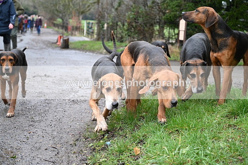 WJ7_9375 - Walk out..