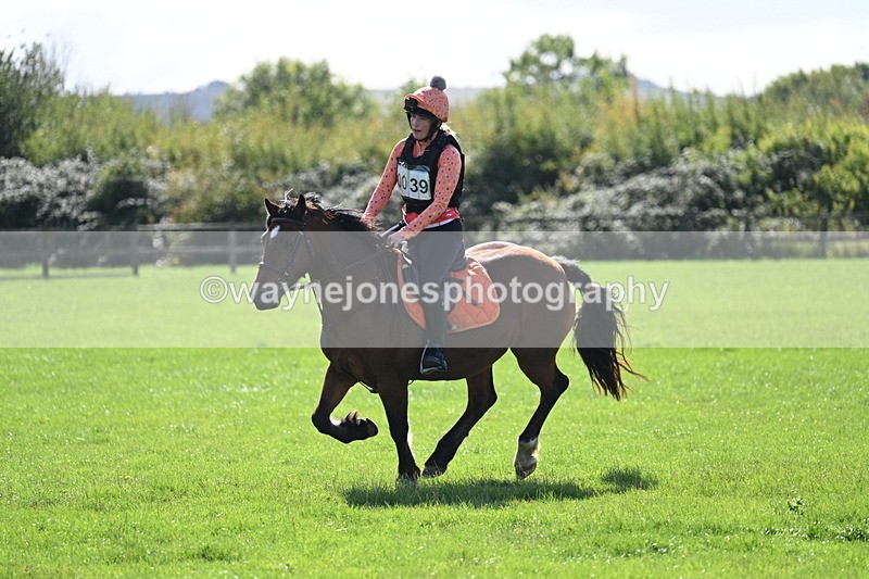 WJ7_1375 - Time 13:56 to 14:24