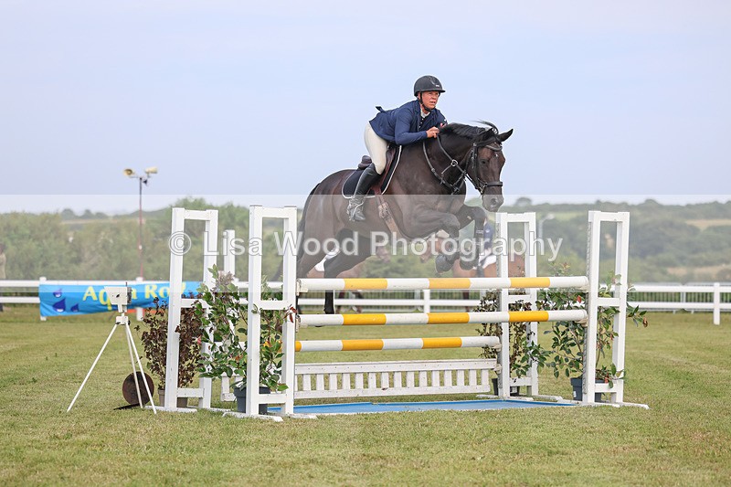 3E7A0839 - Class C: Showjumping Senior Foxhunter