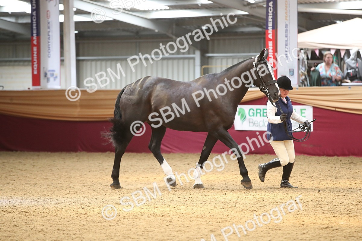 SBM_05349 - Class 8R - Regional IH Veteran