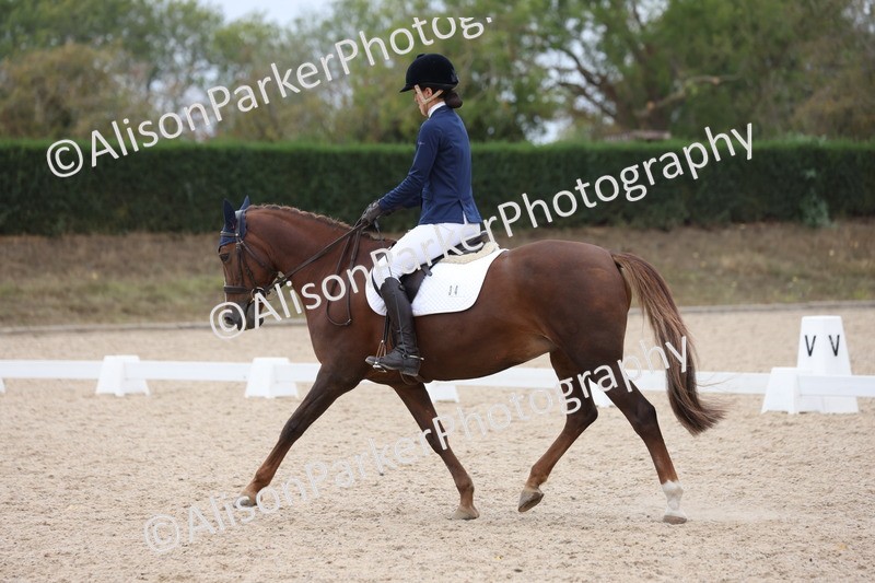 20250820-1257 - Class 18 - Elementary 5