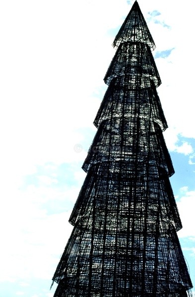 Oh Xmas Tree - Oh Xmas Tree