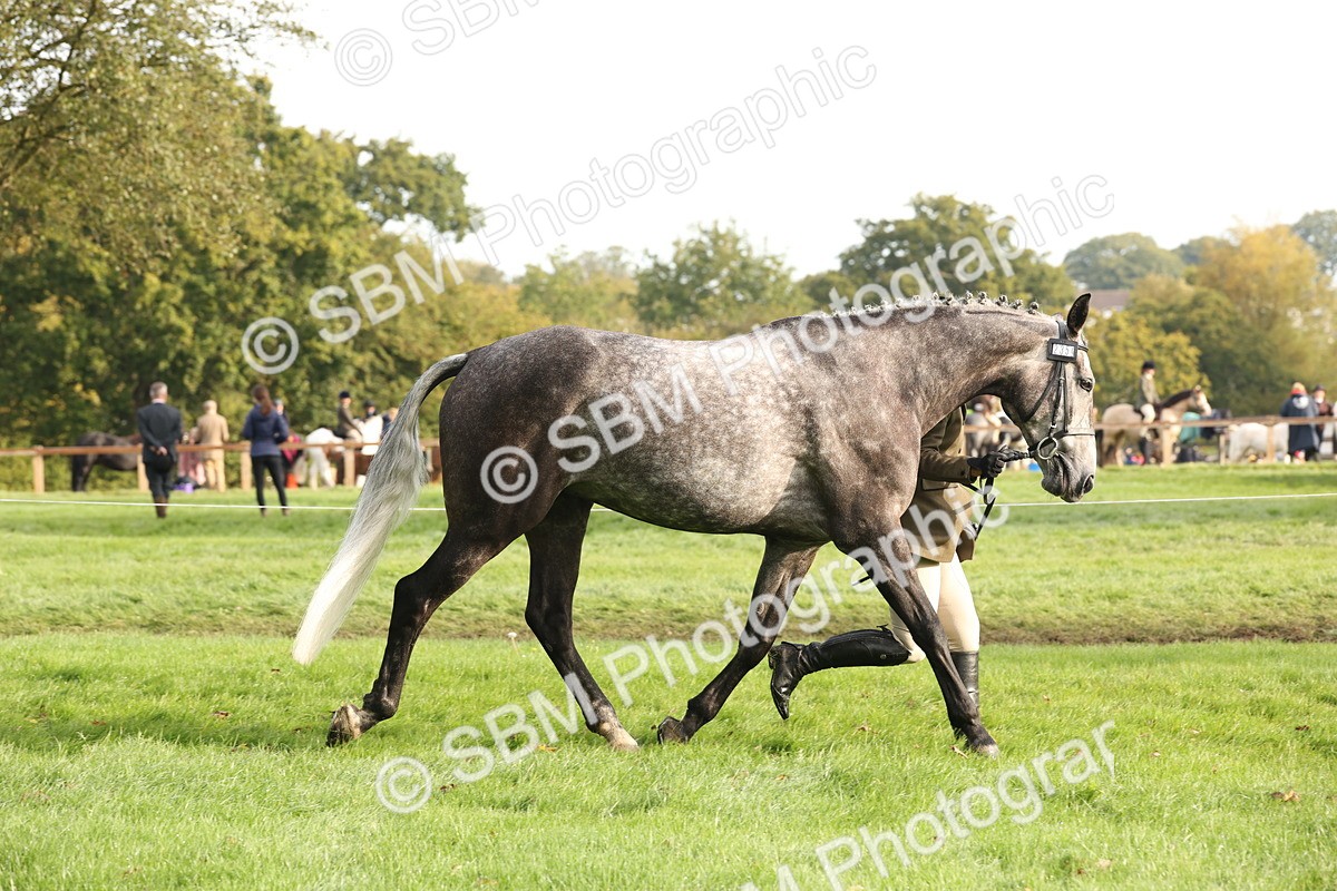 SBM_54672 - S53 - Hunter In Hand
