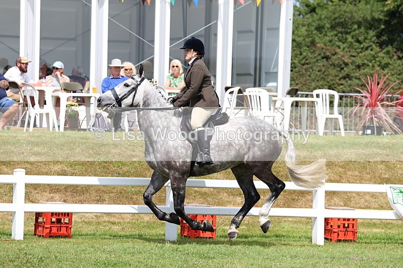 3E7A0580 - Rising Star Ridden Championship