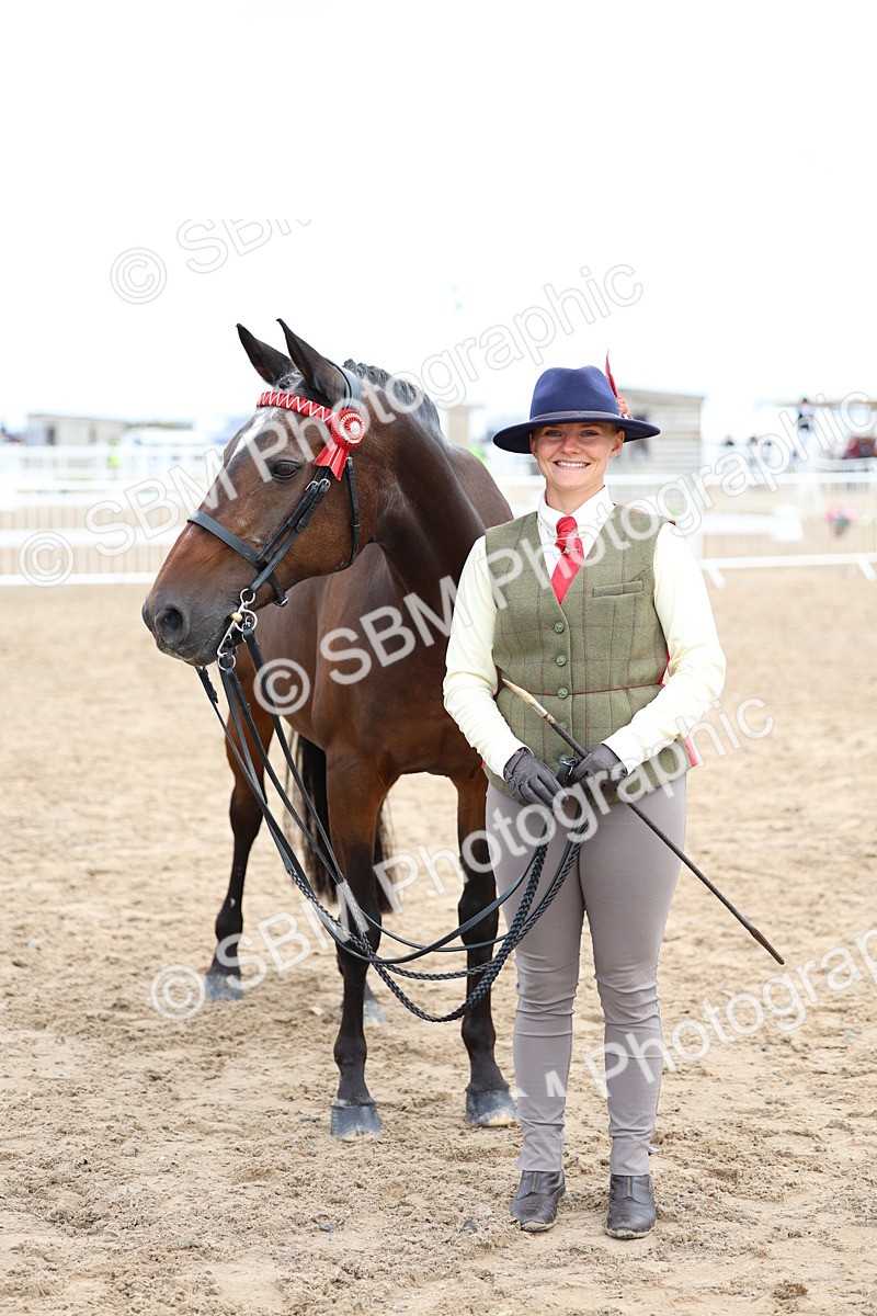 SBM_01479 - Class 17 - Prettiest Mare