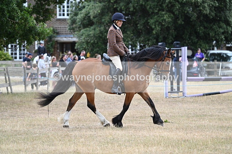 WJ7_0517 - Class 6 Ridden Mountain and Moorland