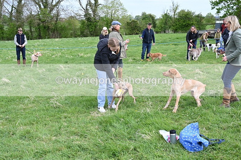 WJ6_8175 - Class 2 Best Pedigree