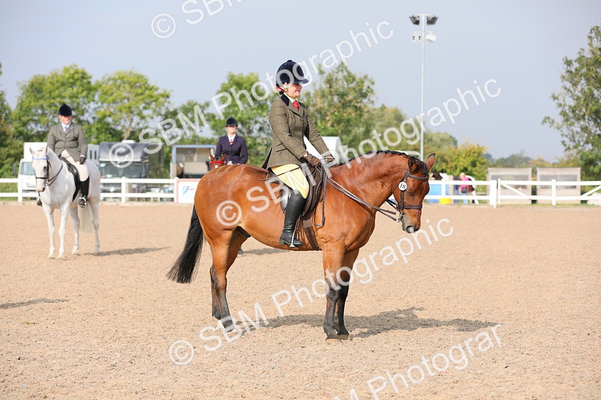 SBM_10906 - Class 304 Ridden Part Bred Horse/Pony