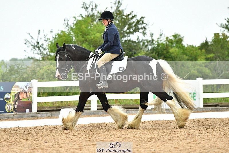 230708A-105221-02436 - Prelim 13